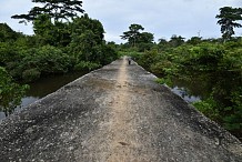 Côte d'Ivoire: l'improbable pont sur la rivière Son
