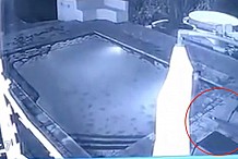 Un couple se fait attaquer par un crocodile pendant un bain de minuit (vidéo)