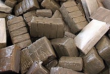 Le plus grand trafiquant de drogue du Mali est un Imam. Plus de 2 tonnes de drogue saisies dans sa carguaison