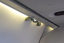 Un serpent sème la panique dans un avion (vidéo)