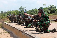 Forces armées de Côte d’Ivoire: Un Bataillon pilote projetable bientôt sur pied