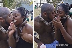 (Photo/Vidéo) Mon Dieu! Un couple pris sur une plage en train d'embrasser des serpents vivants