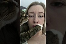 Un chat tente d’embrasser sa maîtresse (vidéo)