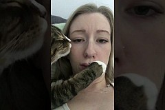 Un chat tente d’embrasser sa maîtresse (vidéo) Un chat tente d’embrasser sa maîtresse (vidéo)