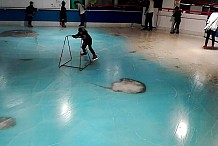 Japon : une patinoire piège 5000 poissons sous la glace et provoque la colère des internautes (photos)