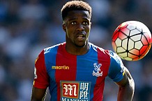 Eléphants: Wilfried Zaha, tout sur cette nouvelle “recrue” de Dussuyer