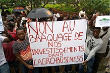 Agrobusiness : Des manifestations prévues à Abidjan et à l'intérieur du pays, le mercredi