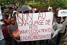 Agrobusiness: le grand désarroi des souscripteurs