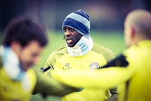 Yaya Touré à propos des éléphants : 