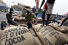 Une association d'exportateurs de la Côte d'Ivoire declare des défauts a hauteur de 80 000 tonnes, Le total des défauts pourrait être beaucoup plus élevé