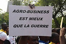 Crise de l’agrobusiness : une 