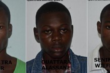 Après avoir fait une cinquantaine de victimes ivoiriennes, 3 maîtres chanteurs mis hors d'état de nuire par la PLCC