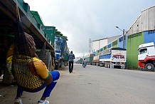 Enquête : Comment la Côte d’Ivoire se retrouve avec 400 000 tonnes de cacao invendues sur les bras