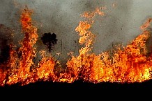 Côte d’Ivoire: bientôt la campagne de lutte contre les feux de brousse