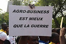 Agro-business: près de 50 000 souscripteurs enregistrés par le Trésor public en vue de leur remboursement
