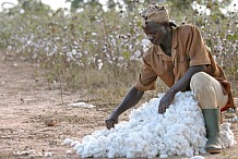 L'ANADER déploie son système E-extension pour améliorer la productivité agricole