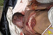 Côte d’Ivoire/Le corps d’une violentée et tuée découvert à Bécédi (Sikensi)
