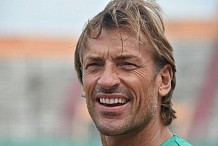 Renard reviendra-t-il en Côte d’Ivoire ?

