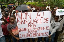 Agrobusiness : Des souscripteurs pourraient ne jamais percevoir leur investissement