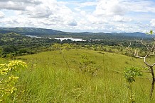 Côte d’Ivoire: des ONG alertent sur le sort de la forêt du Cavally
