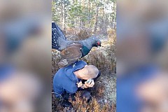 Il se fait agresser sexuellement par un oiseau (vidéo) Il se fait agresser sexuellement par un oiseau (vidéo)