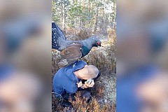 Il se fait agresser sexuellement par un oiseau (vidéo)