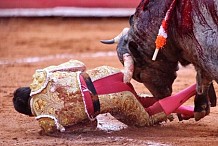 Le taureau enfonce sa corne dans les fesses du matador  et crée une plaie rectale de 30 cm