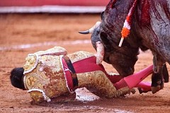 Le taureau enfonce sa corne dans les fesses du matador  et crée une plaie rectale de 30 cm