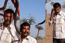 Une légère morsure de ce cobra a tué un homme en une heure