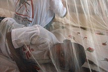 Adiaké : 10ème journée mondiale de lutte contre le paludisme : l’OMS salue les efforts de la Côte-d’Ivoire 