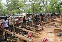 Dans les sillons des orpailleurs clandestins dans le Nord ivoirien (Feature)