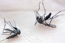 Le gouvernement rassure après la détection du 1er cas de dengue en Côte d’Ivoire