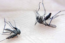 Le gouvernement rassure après la détection du 1er cas de dengue en Côte d’Ivoire