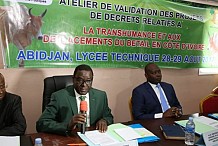 Déplacement du bétail en Côte d'Ivoire : Des textes pour mettre fin aux conflits éleveurs-agriculteurs