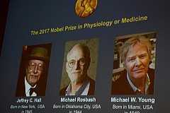 Nobel de médecine: trois spécialistes américains de l'horloge biologique primés Nobel de médecine: trois spécialistes américains de l'horloge biologique primés