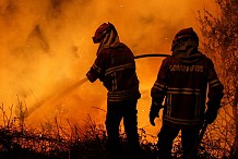 Près de 40 morts dans les incendies qui ravagent le Portugal et l'Espagne