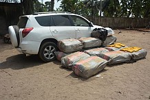 Grand bassam : près d’une tonne de cannabis saisie par la brigade de gendarmerie