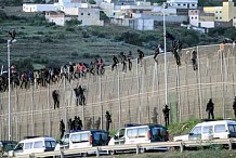 Les Congolais et les Angolais en tête des demandeurs d’asile au Portugal