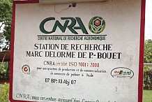 Côte d’Ivoire: 3,1 milliards FCFA pour la restructuration du Centre national de recherche agronomique