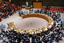 ONU: cinq nouveaux membres non permanents du Conseil de sécurité en 2019