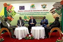 Un projet pour le développement du manioc et du maraicher d’un coût de 11 milliards FCFA lancé à Yamoussoukro