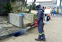 Une opération de désinsectisation en cours dans les quartiers victimes des dernières inondations