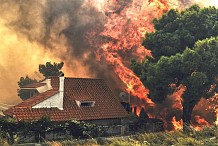 Grèce : des dizaines de morts dans de violents incendies autour d'Athènes