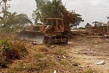 Des travaux d’ouverture de voies en cours à Kong