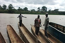 Un couple d’hippopotames sème la terreur à Grand Lahou