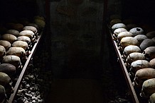 Les corps de 5.400 victimes du génocide de 1994 découverts au Rwanda