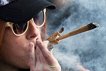 Le Canada devient le deuxième pays de la planète à légaliser le cannabis récréatif