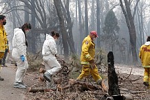 Etats-Unis / Incendies en Californie: les recherches continuent dans les ruines de Paradise