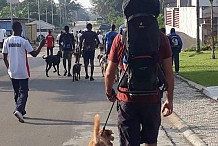 Un concours canin prévu en décembre en Côte d’Ivoire