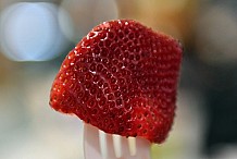 Nouvelle-Zélande : Une aiguille découverte dans une fraise